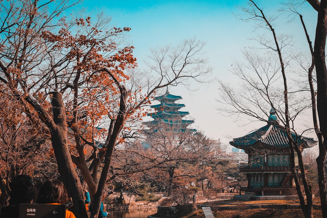 The Heartbeat of History: Exploring Gyeongbokgung Palace - Photo by Louie Nicolo Nimor on Unsplash