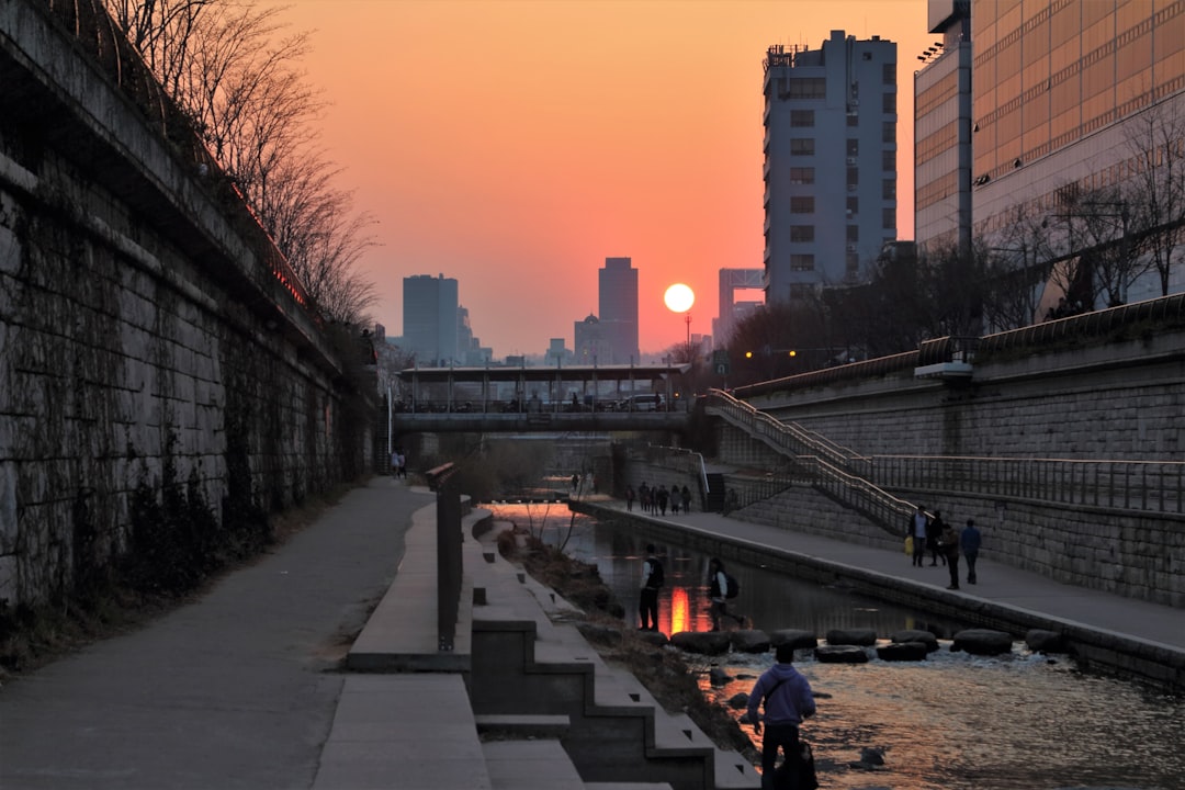 Serenity Amidst Skyscrapers: A Stroll Along Cheonggyecheon Stream - Photo by Stefan K on Unsplash